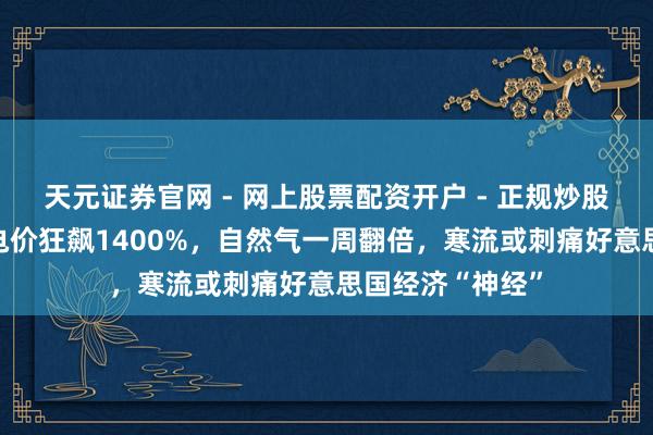 天元证券官网 - 网上股票配资开户 - 正规炒股杠杆如何注册 电价狂飙1400%，自然气一周翻倍，寒流或刺痛好意思国经济“神经”
