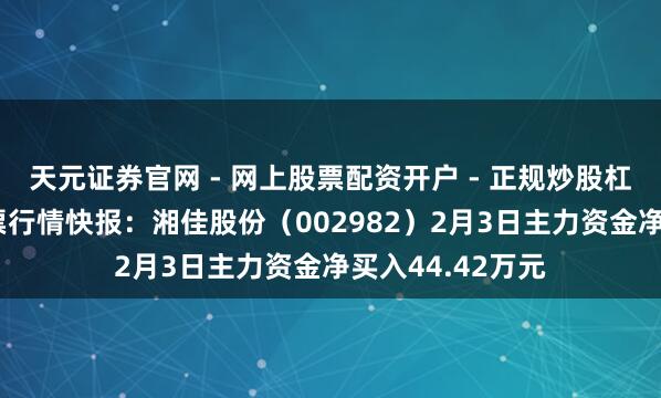 天元证券官网 - 网上股票配资开户 - 正规炒股杠杆如何注册 股票行情快报：湘佳股份（002982）2月3日主力资金净买入44.42万元