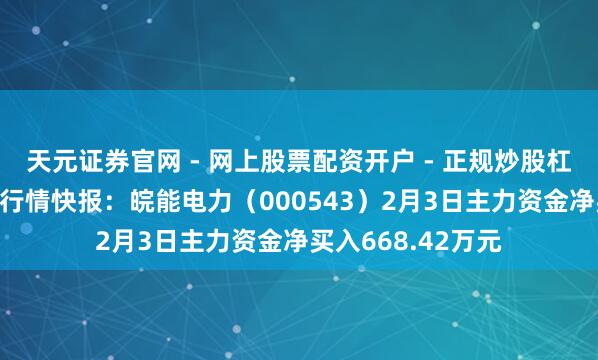 天元证券官网 - 网上股票配资开户 - 正规炒股杠杆如何注册 股票行情快报：皖能电力（000543）2月3日主力资金净买入668.42万元