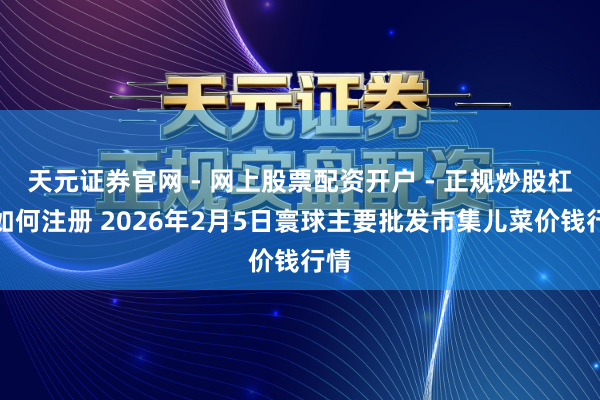 天元证券官网 - 网上股票配资开户 - 正规炒股杠杆如何注册 2026年2月5日寰球主要批发市集儿菜价钱行情
