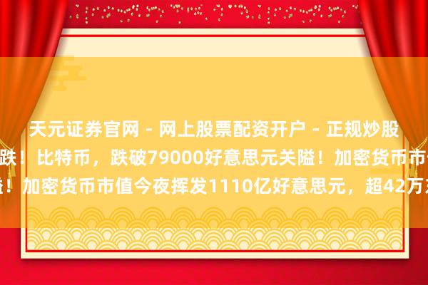 天元证券官网 - 网上股票配资开户 - 正规炒股杠杆如何注册 顷刻间大跌！比特币，跌破79000好意思元关隘！加密货币市值今夜挥发1110亿好意思元，超42万东说念主爆仓