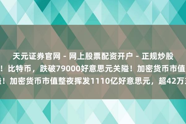 天元证券官网 - 网上股票配资开户 - 正规炒股杠杆如何注册 倏得大跌！比特币，跌破79000好意思元关隘！加密货币市值整夜挥发1110亿好意思元，超42万东谈主爆仓