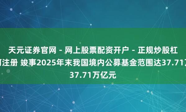 天元证券官网 - 网上股票配资开户 - 正规炒股杠杆如何注册 竣事2025年末我国境内公募基金范围达37.71万亿元