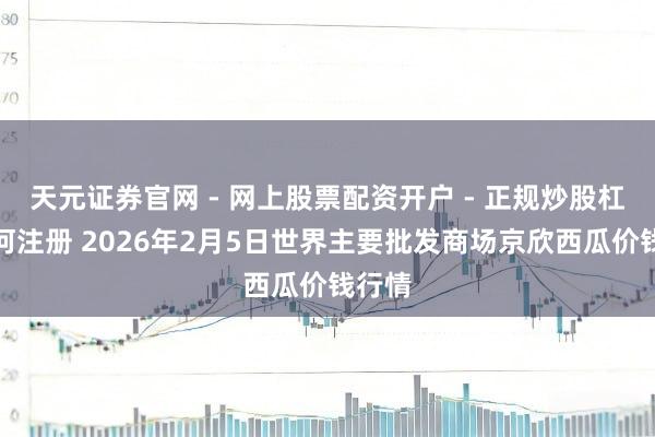 天元证券官网 - 网上股票配资开户 - 正规炒股杠杆如何注册 2026年2月5日世界主要批发商场京欣西瓜价钱行情