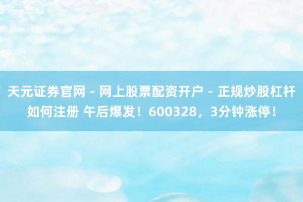 天元证券官网 - 网上股票配资开户 - 正规炒股杠杆如何注册 午后爆发!600328,3分钟涨停!